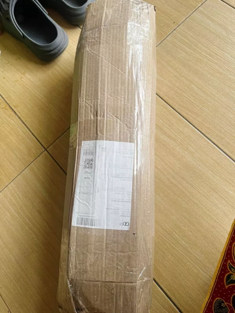 Ulasan Anggur Hijau 1