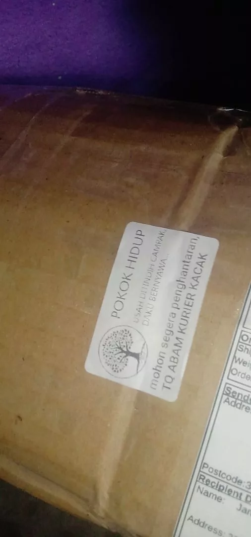 Ulasan Anggur Hijau 3