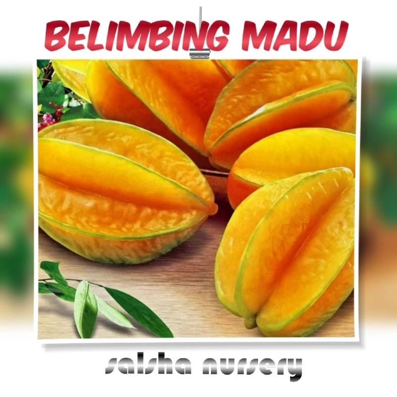 Belimbing Madu