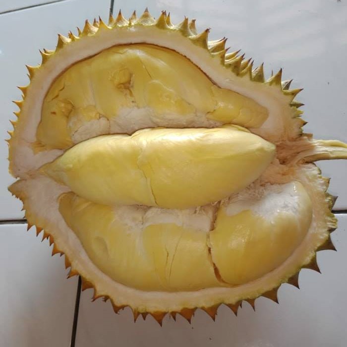 Durian Chanee