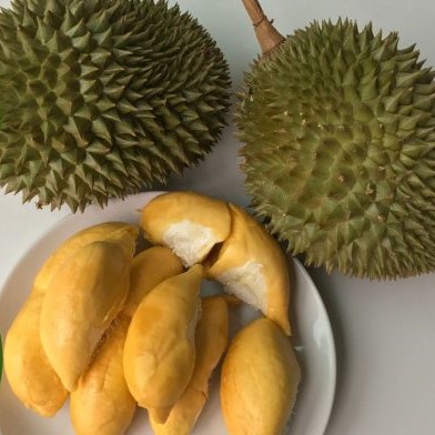 Durian D24