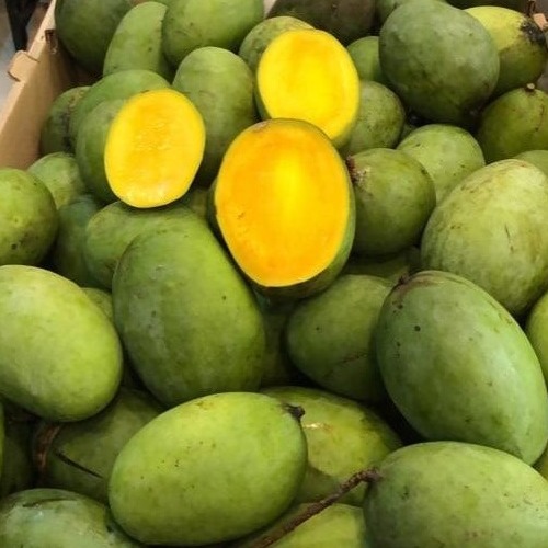 Mangga Kuini